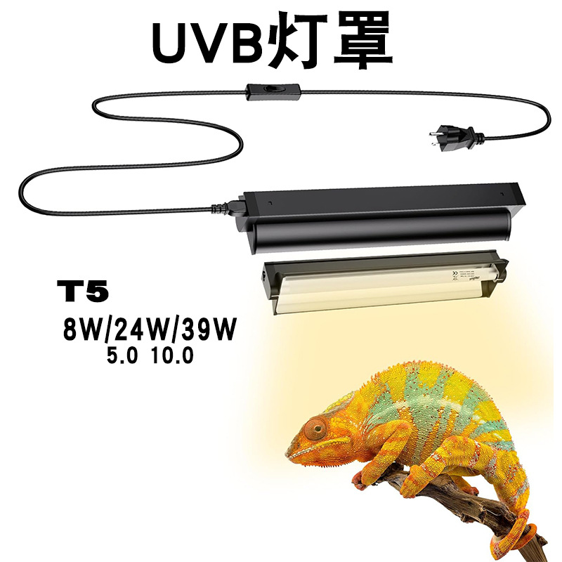 Calcium Powder Reptile - T5 UVB-buis met geïntegreerde armatuur glazen