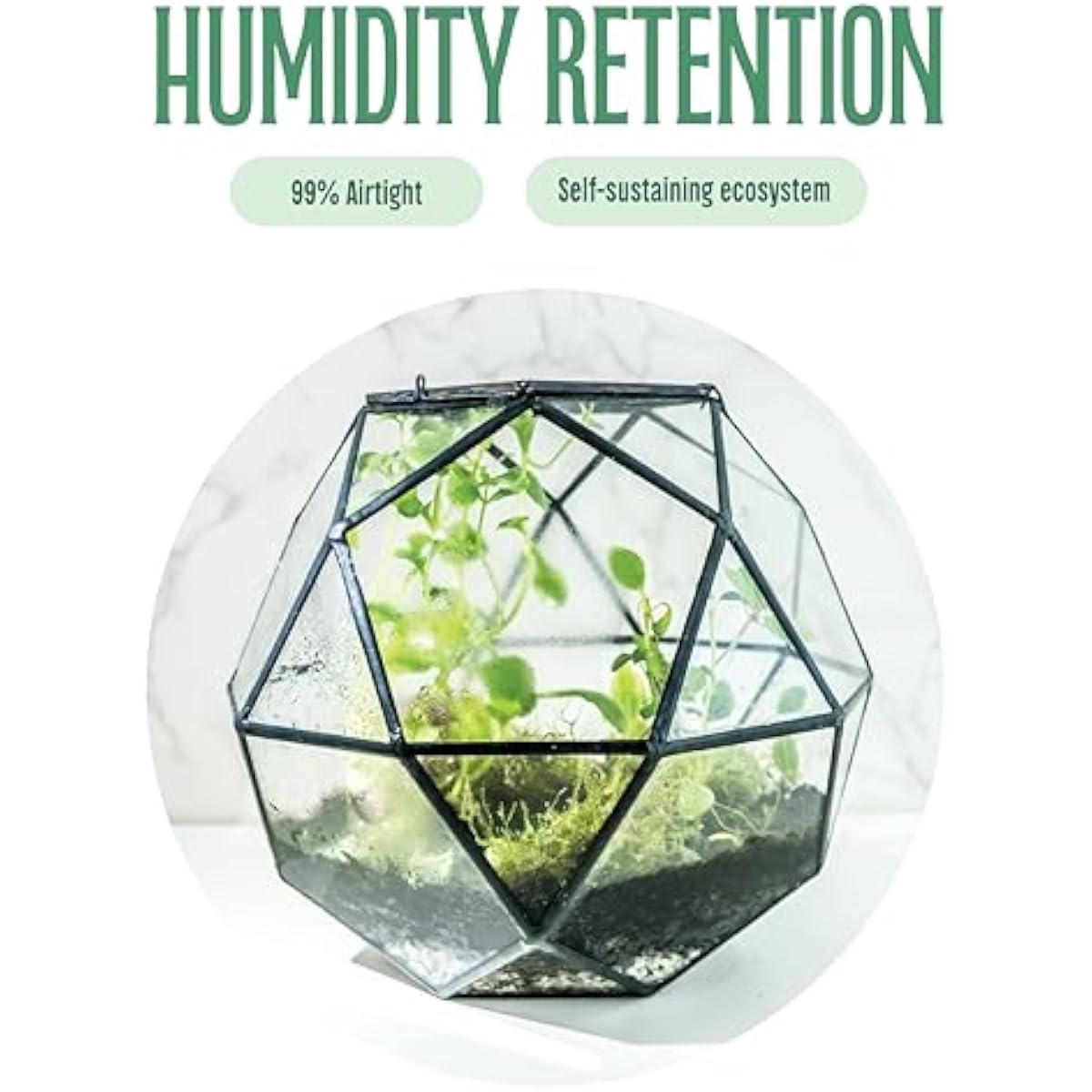 Geometrische bolterrarium met  - Glass Door Hinge recensie en prijs