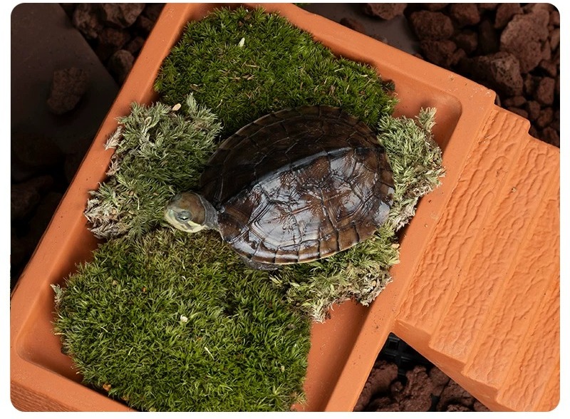 Aquarium Schildpad Zonnebadpla - Hide Cave Ceramic recensie en prijs