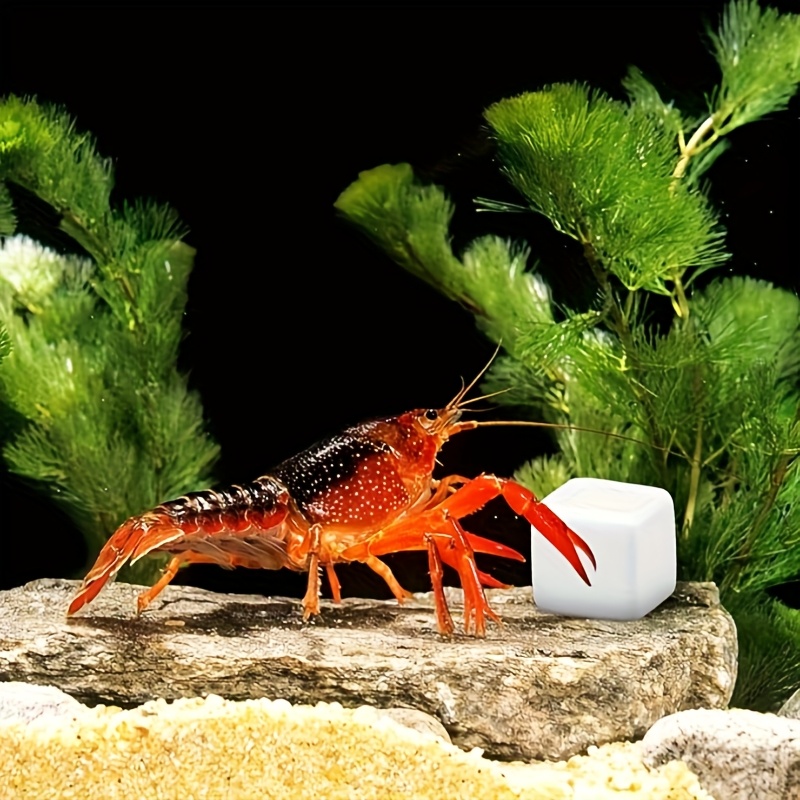 6 stuks Calciumblokken voor aq - Calcium Powder Reptile recensie en prijs