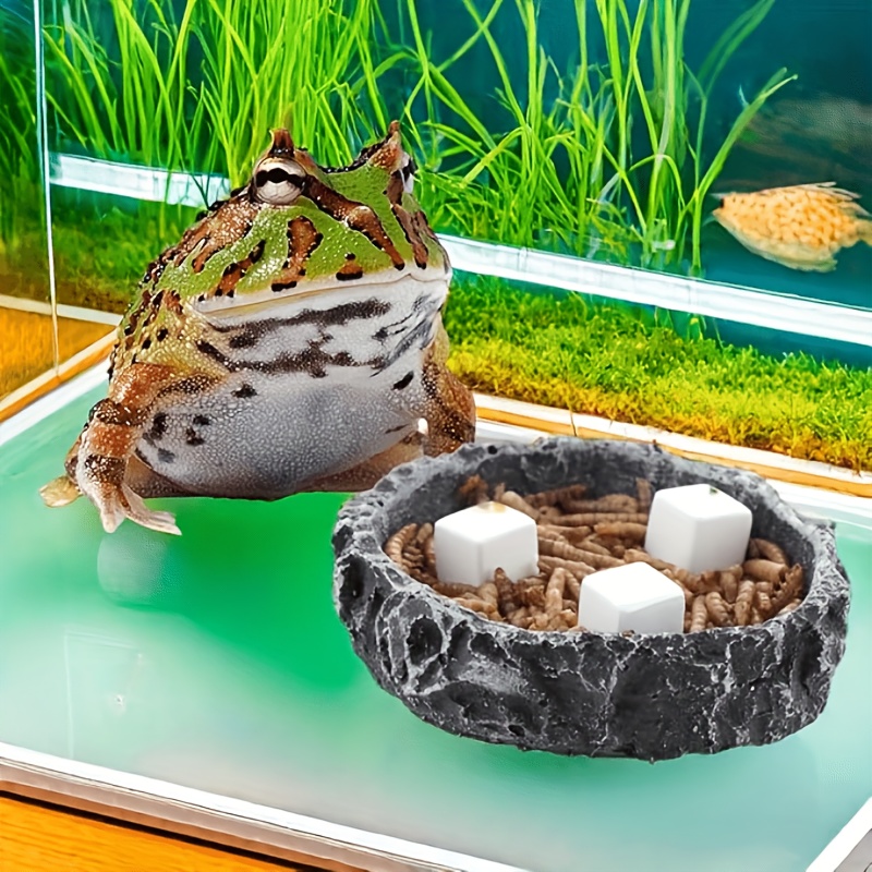 6 stuks Calciumblokken voor aq - Calcium Powder Reptile recensie en prijs